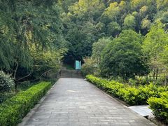 -上海佘山国家森林公园天马山园