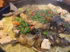 -老板恋上鱼(恒隆广场店)