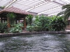 某个泡池-龙达温泉生态城