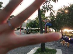 -飞来湖湿地公园
