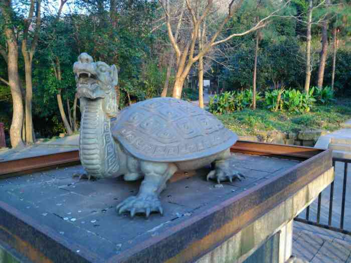 震泽神鼋-"感觉这鼋也没啥 很多人围着投钱 看谁能投.