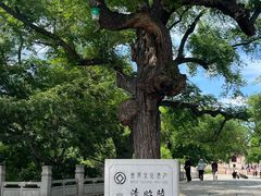 -北陵公园