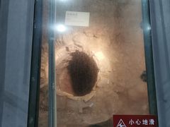 -南越王博物院(王宫展区)