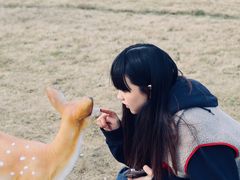 -杭州湾海上花田景区