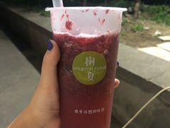 树夏杨梅-树夏(鹭洲里店)