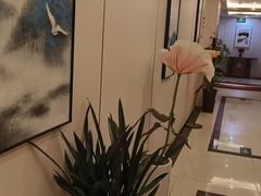 -华夏良子·足道SPA艾灸(开源店)
