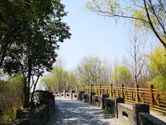 -溱湖国家湿地公园