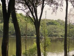 -三水森林公园