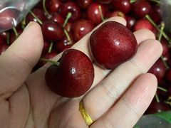 -世纪联华(吴淞店)