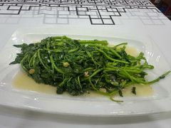 豆酱炒西洋菜-潮州菜馆(十里河店)