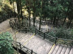 -刘伯温故里景区百丈漈