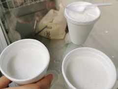 -洪馨椰子