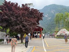 -少华山国家森林公园