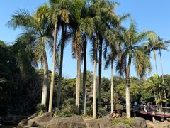 -荔枝公园(福田区)