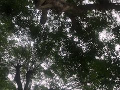 -张钰强中医正骨推拿连锁(唐家人才公寓店)