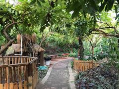 -呀路古热带植物园