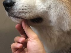 -YCHL Studios健身工作室(市二宫店)