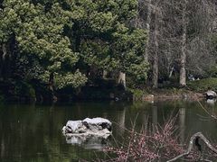 -杭州植物园