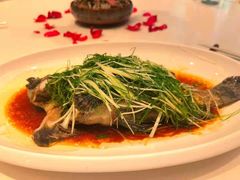 -T館·花园艺术餐厅