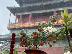 -姚记炒肝店(鼓楼店)