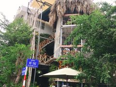 -Rainforest