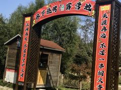 -上海长兴岛郊野公园