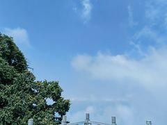 -少华山国家森林公园