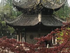 -习家池