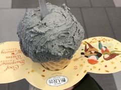 -野人先生现做冰淇淋(西安赛格店)
