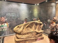 -自贡恐龙博物馆