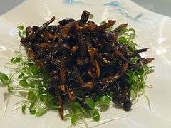 -贵州大厦贵州厅(樱花园西街店)