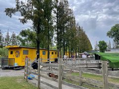 -前小桔亲子创意农场·草莓采摘·露营烧烤