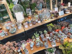 -北马山庄植趣咖啡