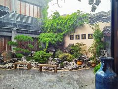 -富春茶社(国庆路店)