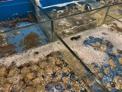 -福州西湖大酒店·怡湖咖啡厅