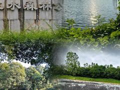 -三水森林公园