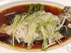 -富临饭店阿一鲍鱼