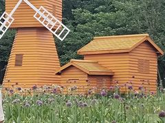 -苏州上方山国家森林公园