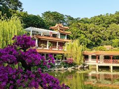 -深圳仙湖植物园