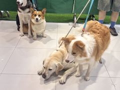 -砂之船奥特莱斯(合肥店)