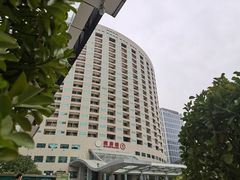 -河南省人民医院(院本部)