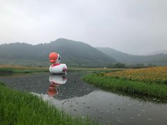 -径山花海