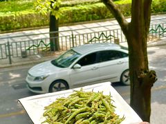 -王城醋血鸭老店