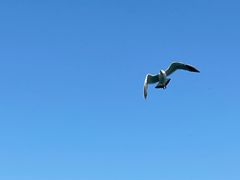 -海驴岛(荣成市)