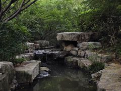 -习家池