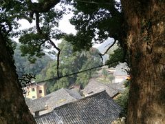 -杨家堂村