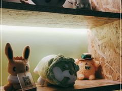 -Husky Go! 哈士奇体验馆·宠物咖啡厅狗咖