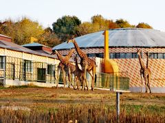-哈尔滨北方森林动物园