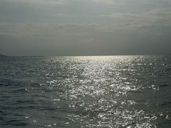 -小猫钓鱼海钓俱乐部(椰梦长廊店)