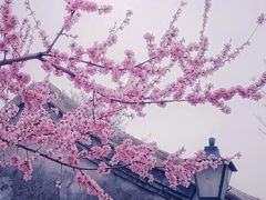 -三里河公园